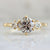 Dolce Salt & Pepper Round Brilliant Cut Diamond Trilogy Ring