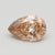 1.65ct Pear Brilliant Cut C5 VVS1