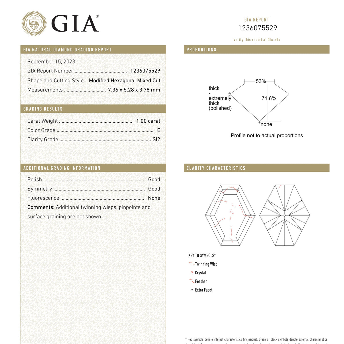 
            1.00ct 7.36x5.28x3.78mm GIA SI2 E Hexagon Brilliant 23901-01