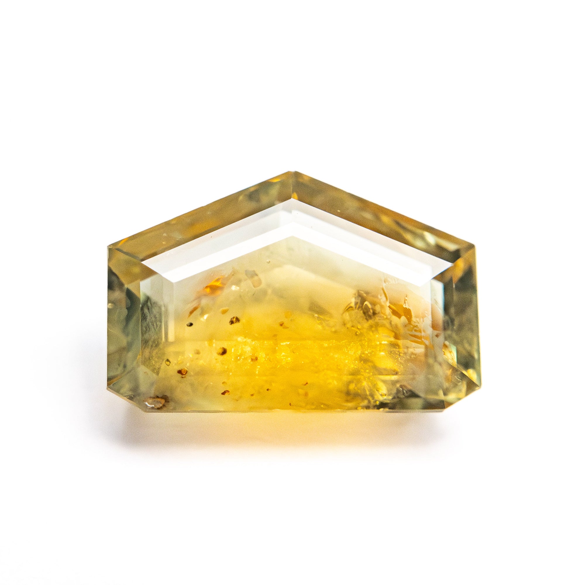 3.41ct 6.90x10.49x4.05mm Shield Portrait Cut Sapphire 22434-143