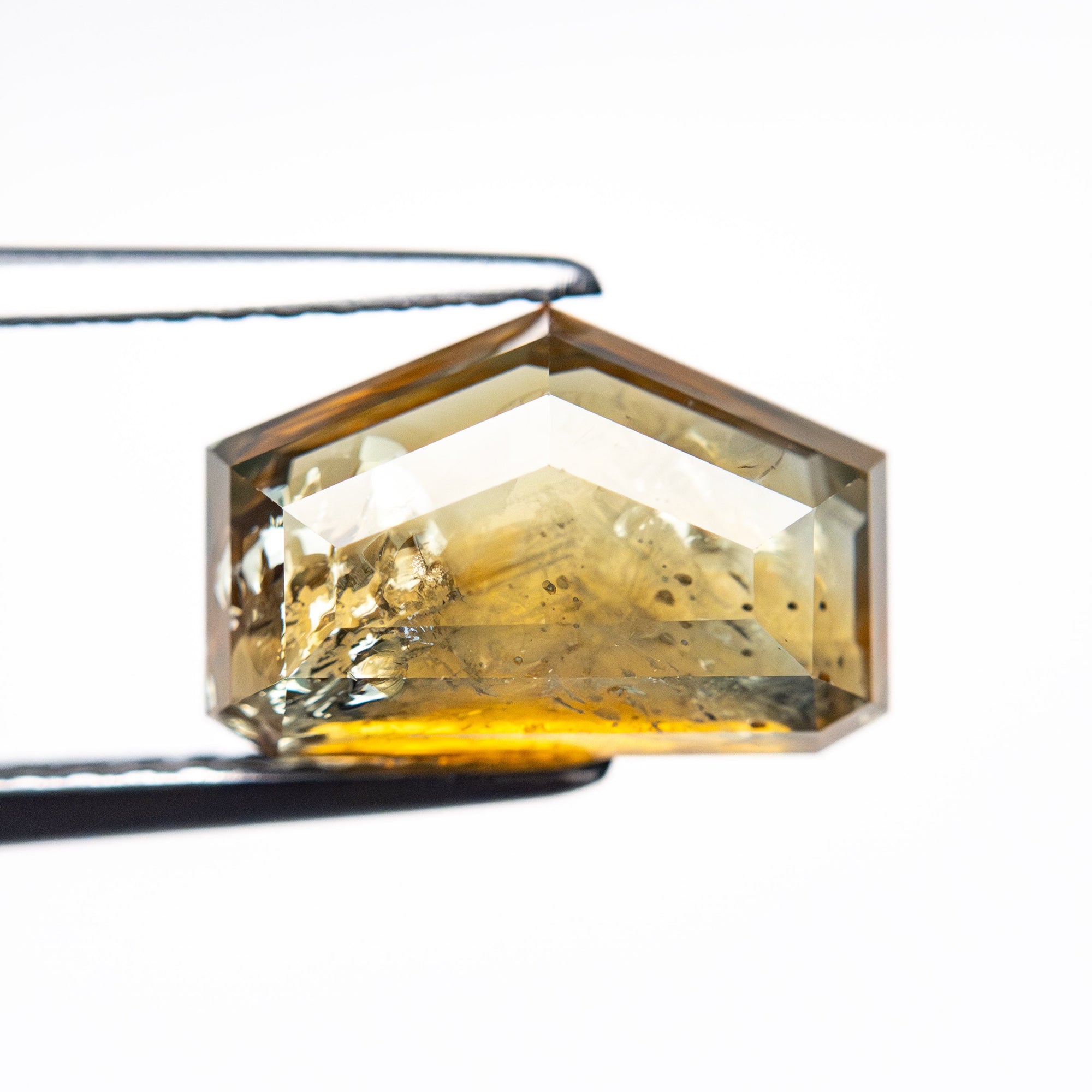 3.41ct 6.90x10.49x4.05mm Shield Portrait Cut Sapphire 22434-143