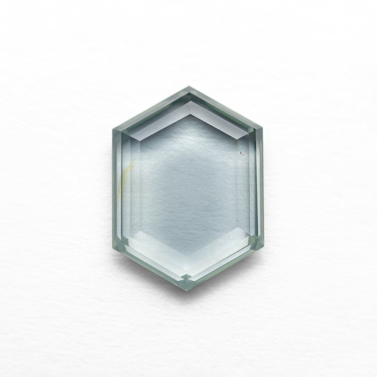
            1.69ct 9.06x6.65x2.22mm Hexagon Portrait Cut Sapphire 23678-04