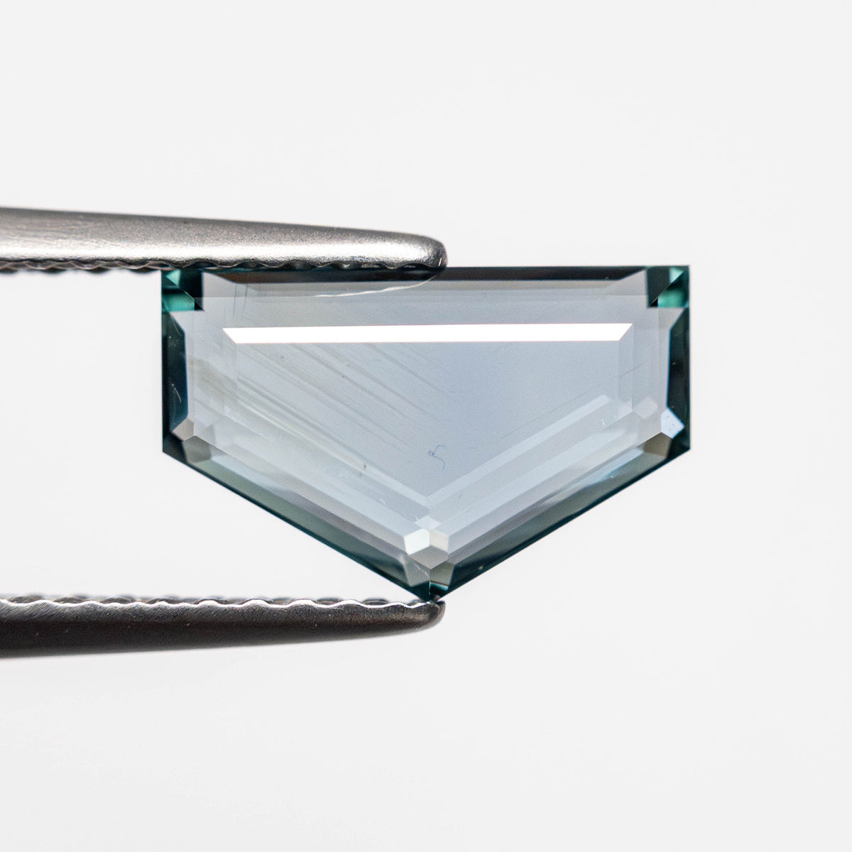 
            2.09ct 6.27x9.86x2.94mm Pentagon Portrait Cut Sapphire 23684-01