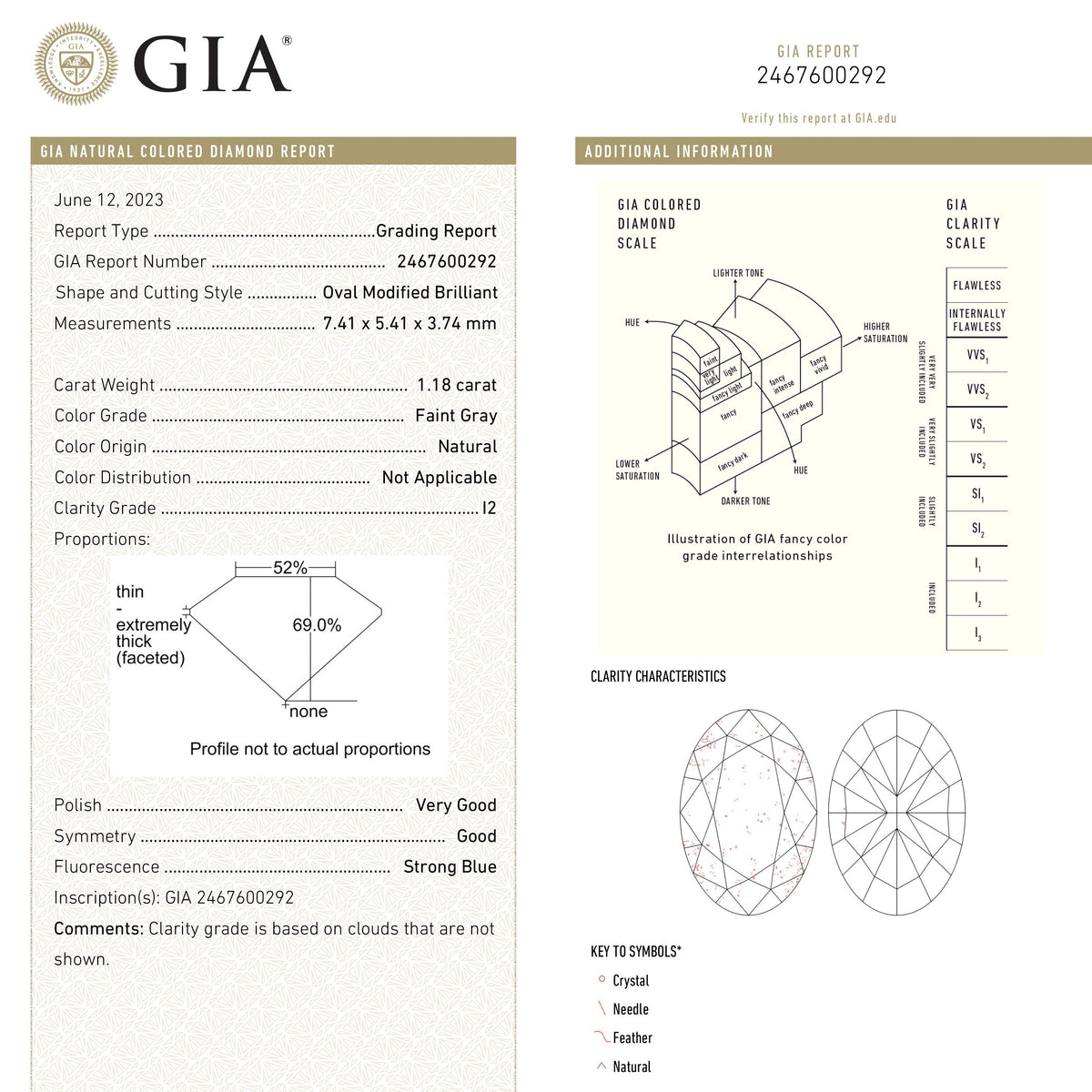 
            1.18ct 7.41x5.41x3.74mm GIA I2 Faint Grey Oval Brilliant 23894-01