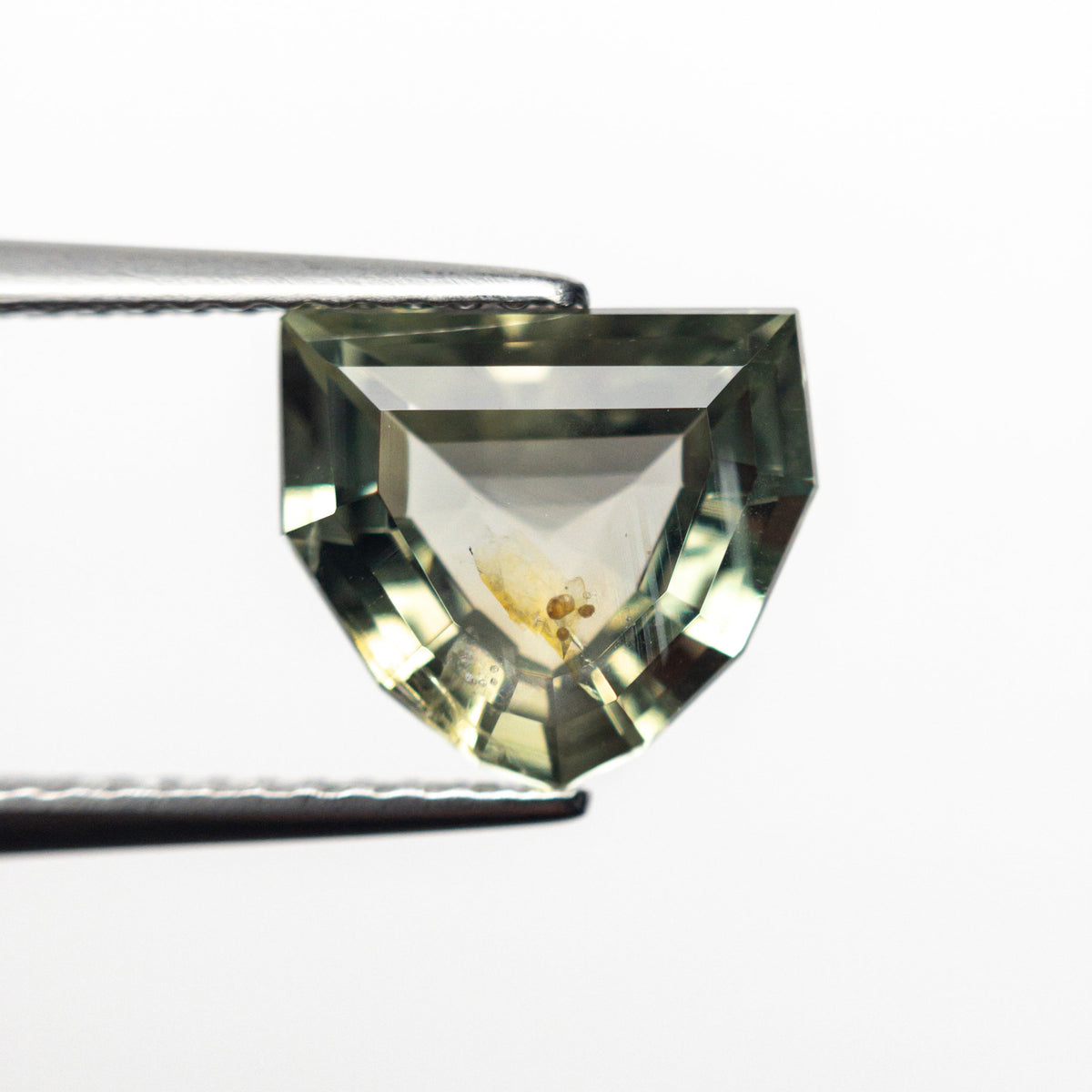 
            2.83ct 9.33x8.38x4.28mm Shield Step Cut Sapphire 25174-05