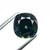 3.67ct 9.22x8.77x5.90mm Cushion Brilliant Sapphire 25377-01