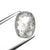 2.48ct 9.83x7.56x3.94mm Cushion Double Cut 27536-45