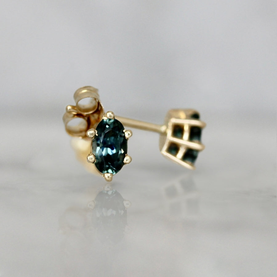 montana sapphire studs