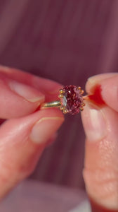 pink oval cut zircon