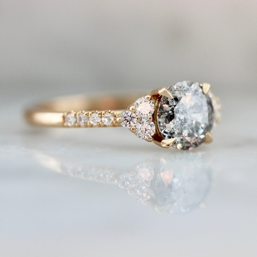 Aglow Salt & Pepper Round Brilliant Cut Diamond Ring