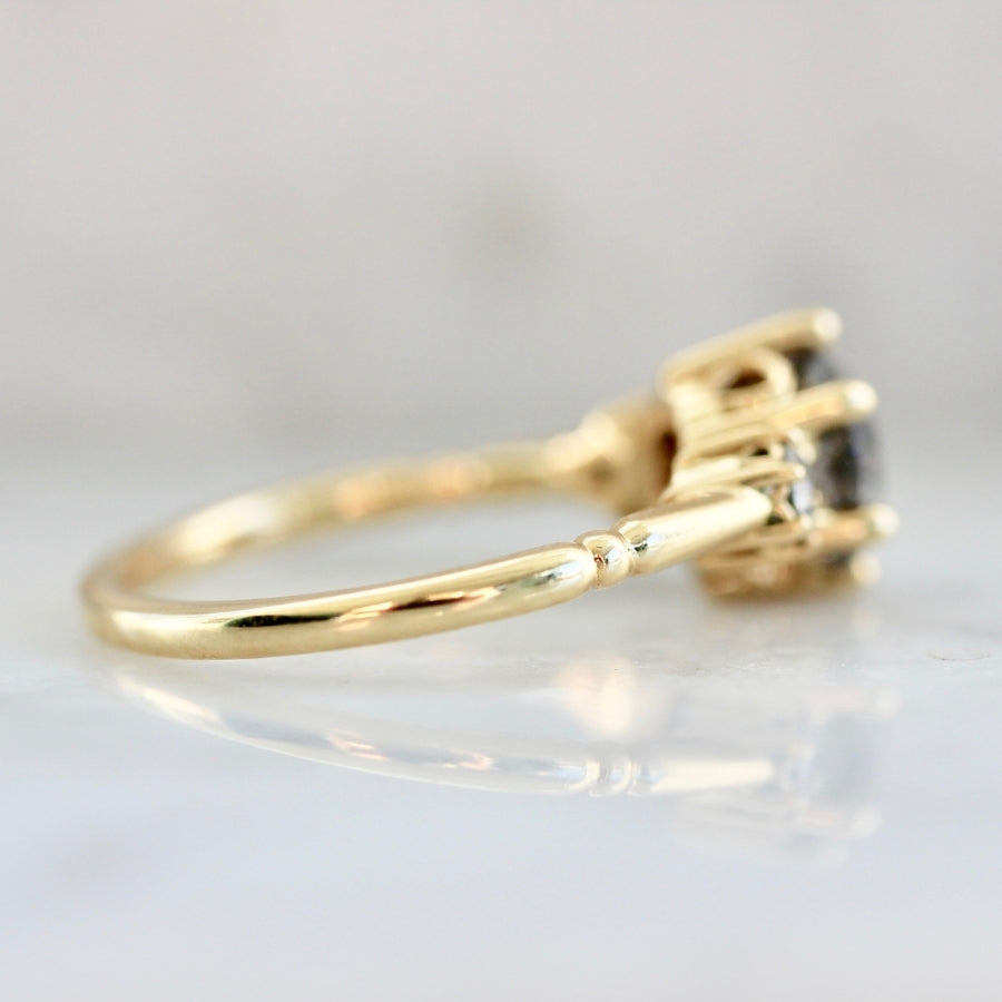 Dolce Salt & Pepper Round Brilliant Cut Diamond Trilogy Ring