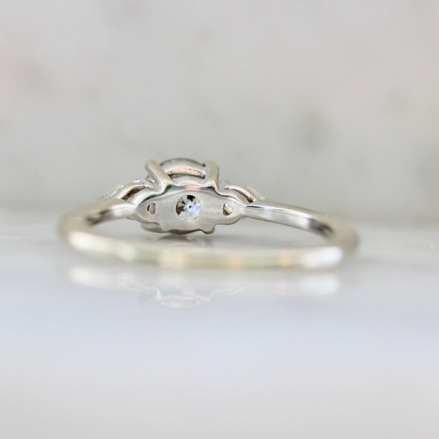 Dream Weaver Salt & Pepper Round Brilliant Cut Diamond Ring