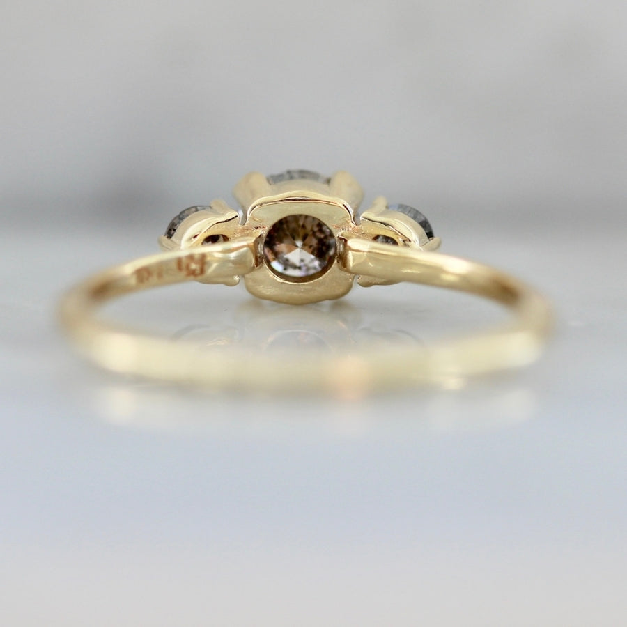 Interstellar Salt & Pepper Diamond Trilogy Ring