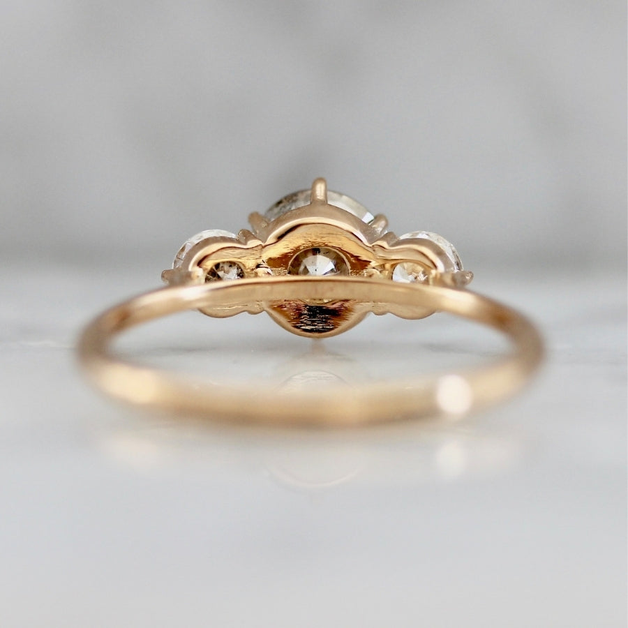 Sonnet Three Stone Champagne Salt & Pepper Diamond Ring