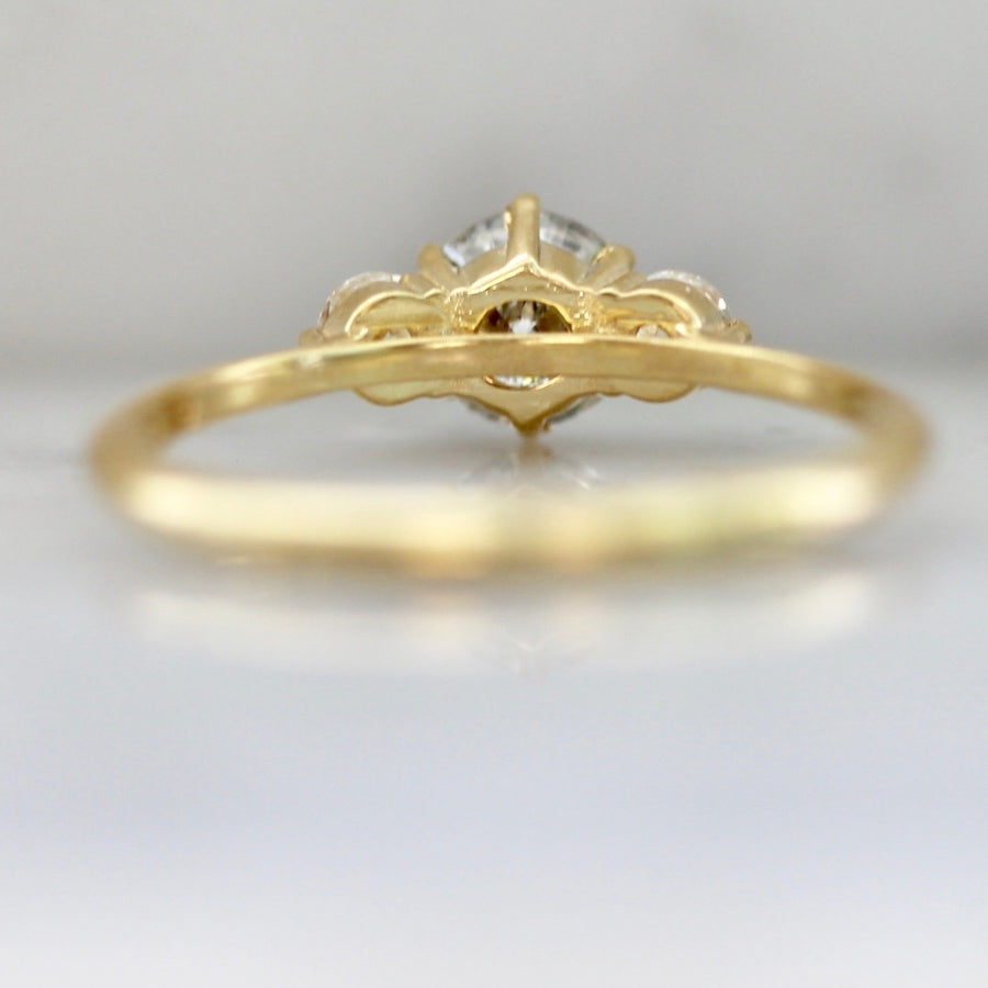 Empress Salt & Pepper Round Brilliant Cut Diamond Ring