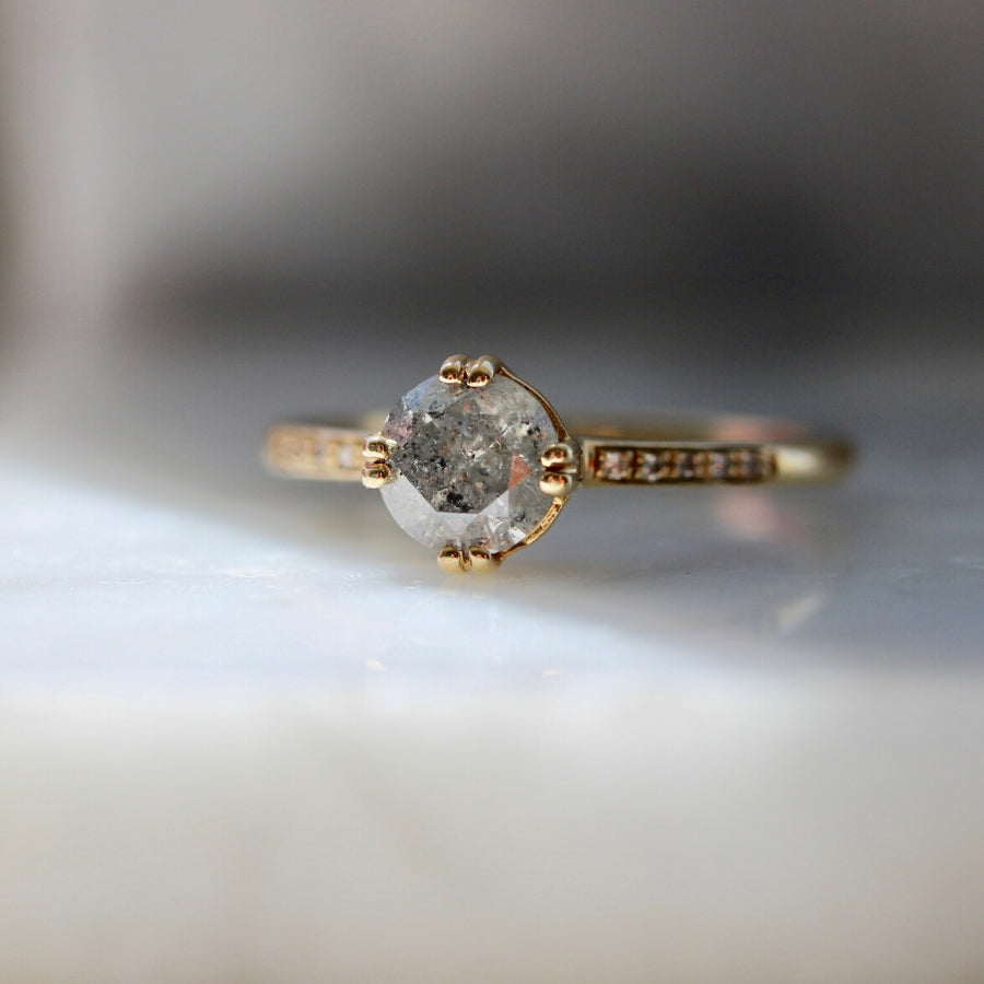 Sabine Salt & Pepper Round Cut Diamond Ring in Yellow Gold