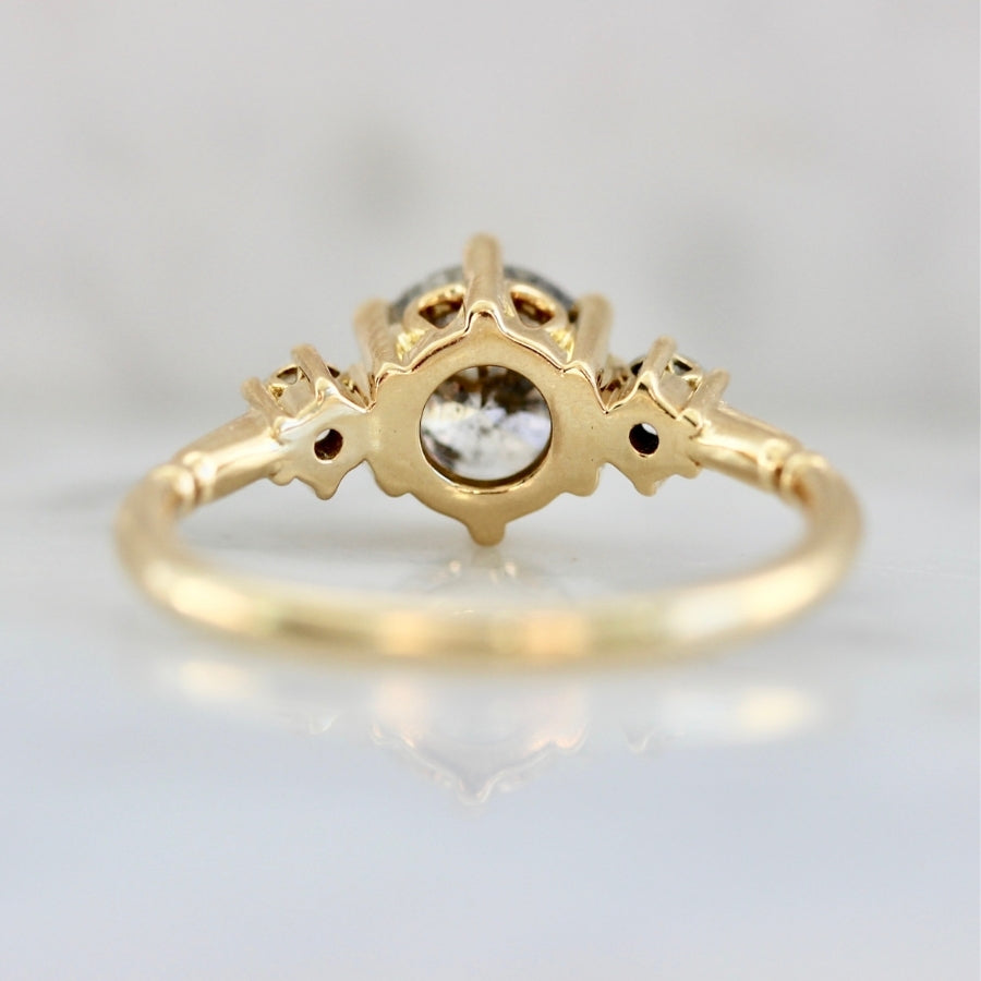 Dolce Salt & Pepper Round Brilliant Cut Diamond Trilogy Ring