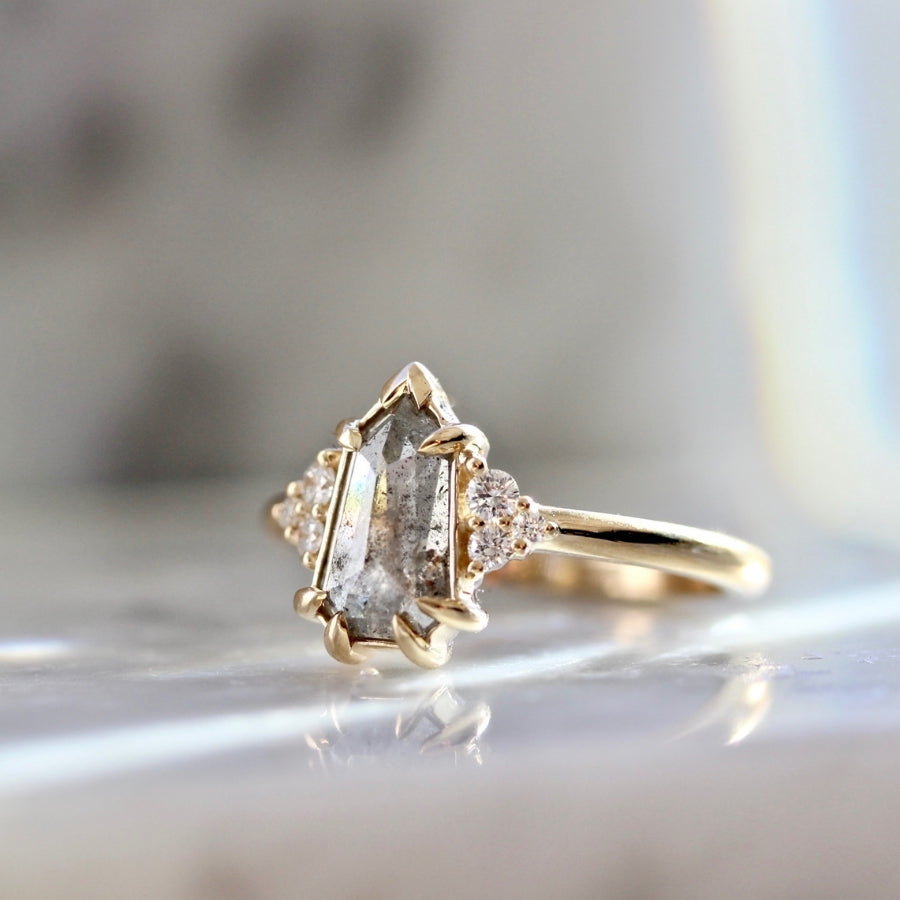 Midnight Hour Salt & Pepper Shield Rose Cut Diamond Ring