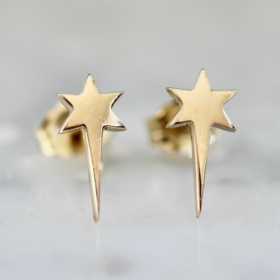Erin Hakin Star Studs