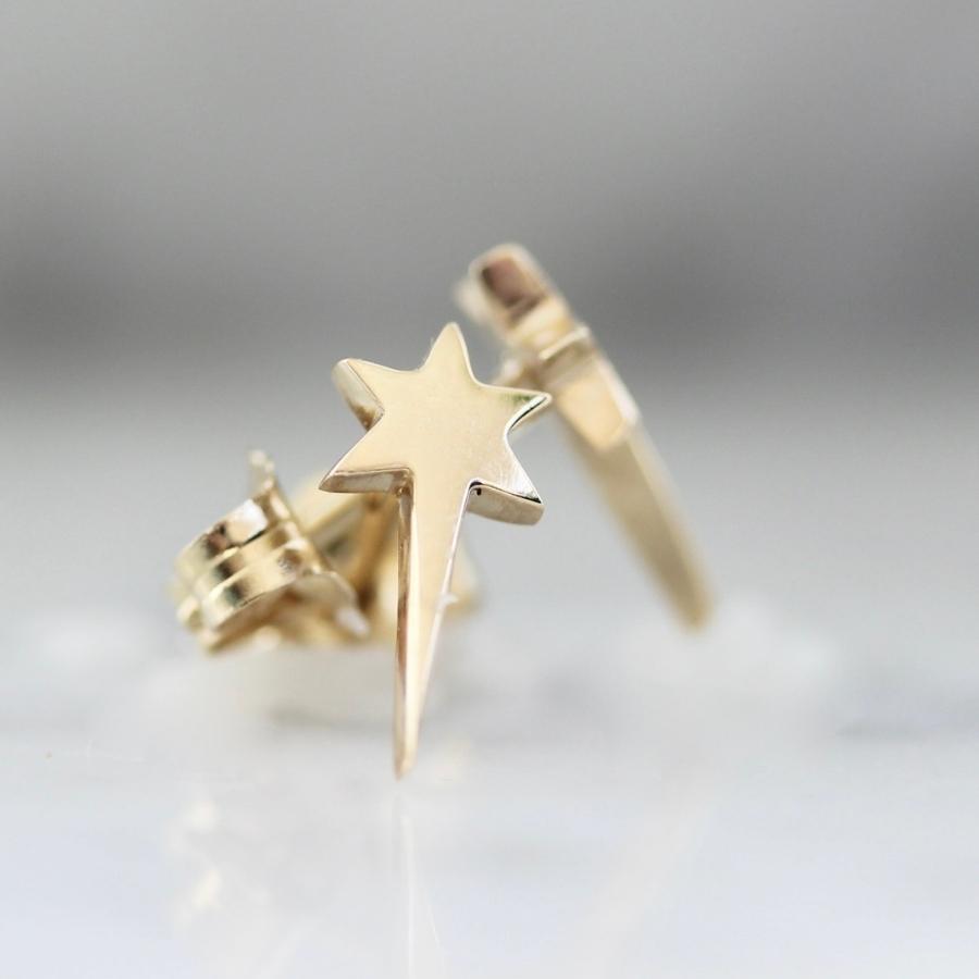 Erin Hakin Star Studs