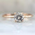 Stella Salt & Pepper Diamond Ring in Rose Gold