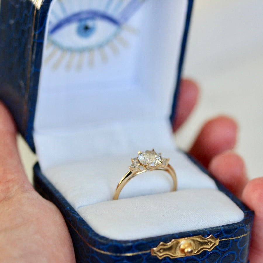 Glitterball Salt & Pepper Mirella Round Brilliant Cut Diamond Ring