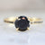 Nick Engel Ring Walden Round Cut Black Diamond Ring